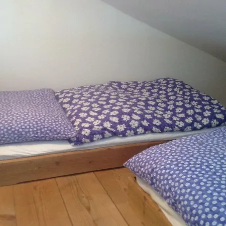 Lägenhet Zell Am Zell am See